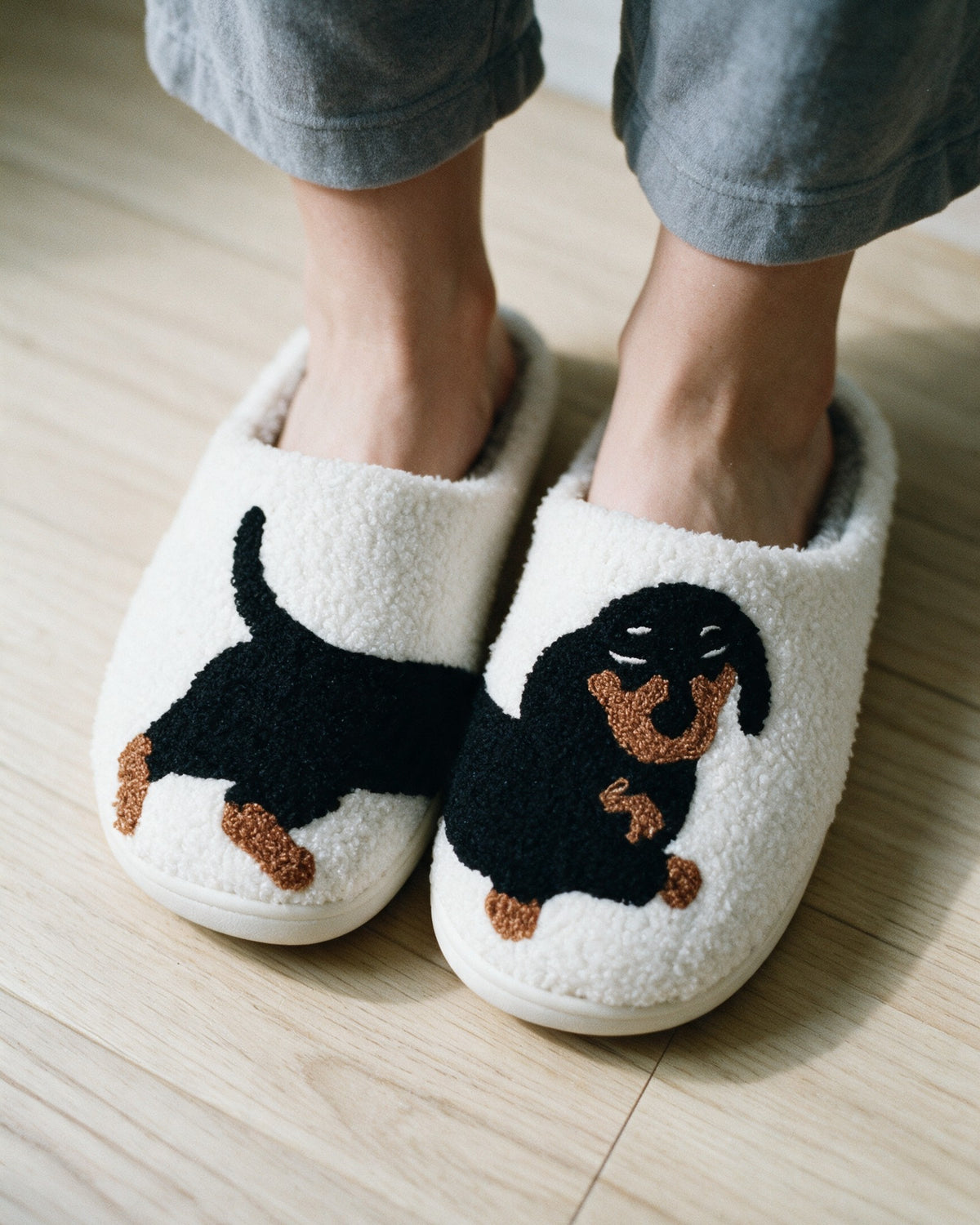 Dachshund Print Plush Night Slippers, worn